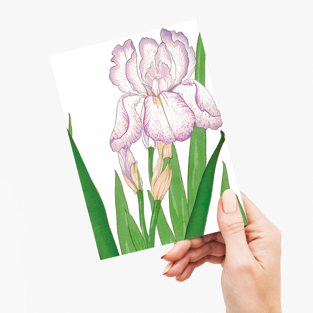 Iris flower By Tanigami Kônan - Wenskaart