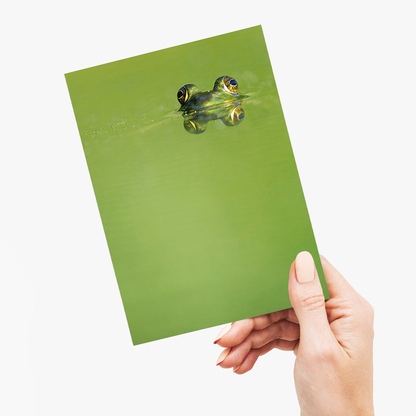 Green frog swimming in the water.  - Greeting Card
