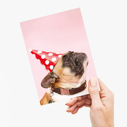 Frenchy with a party hat - Greeting Card
