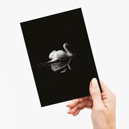 swan floating on water - Greeting Card