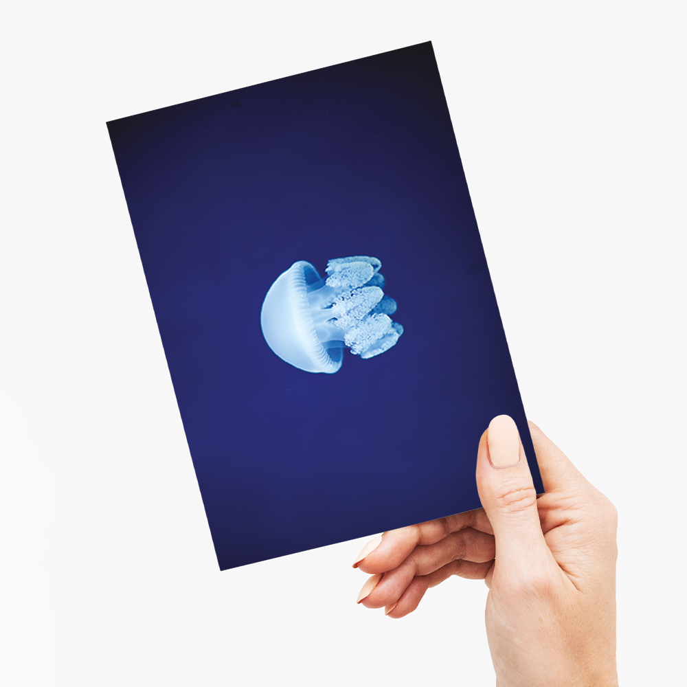 jelly fishes - Greeting Card