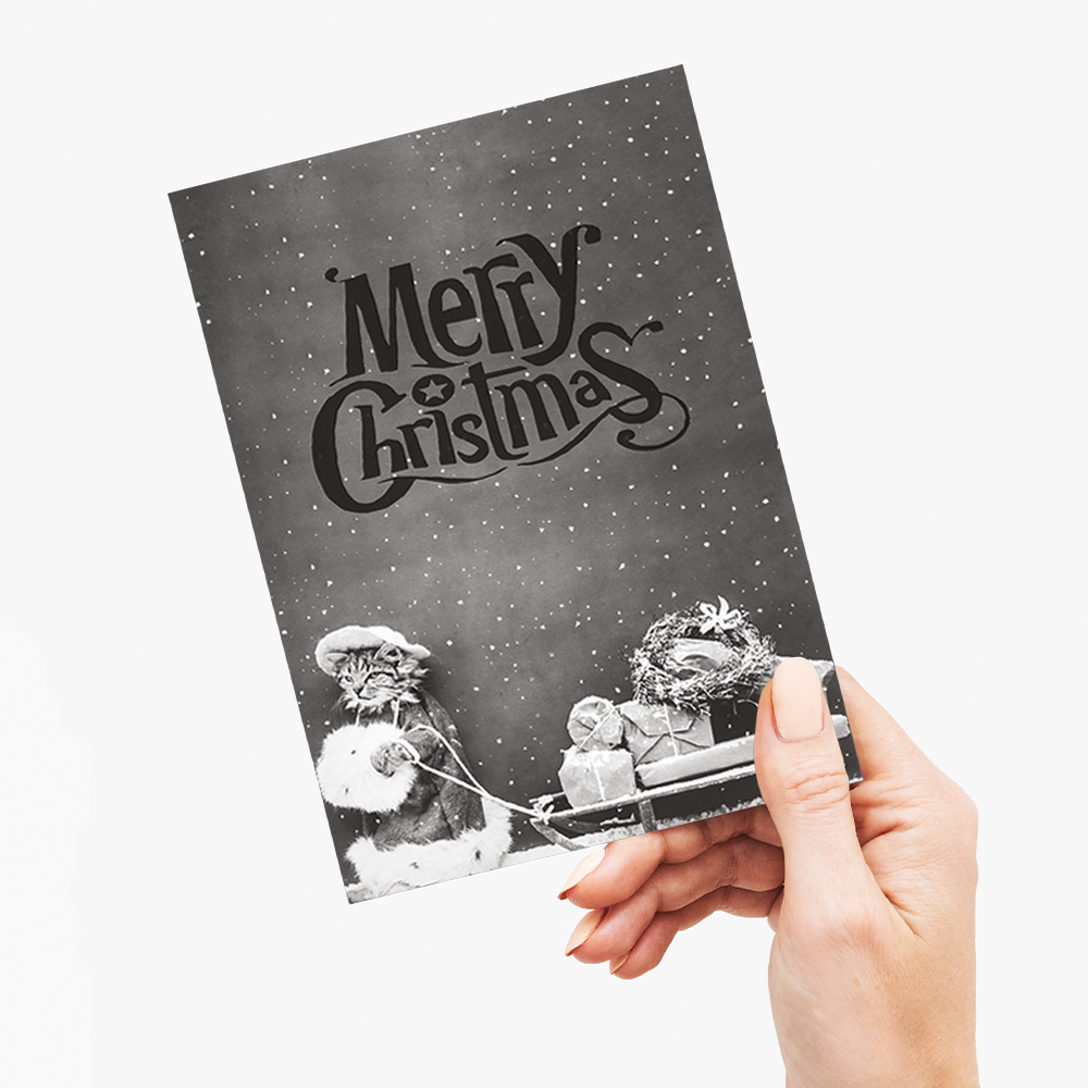 Santa Cat (Merry Christmas) - Greeting Card