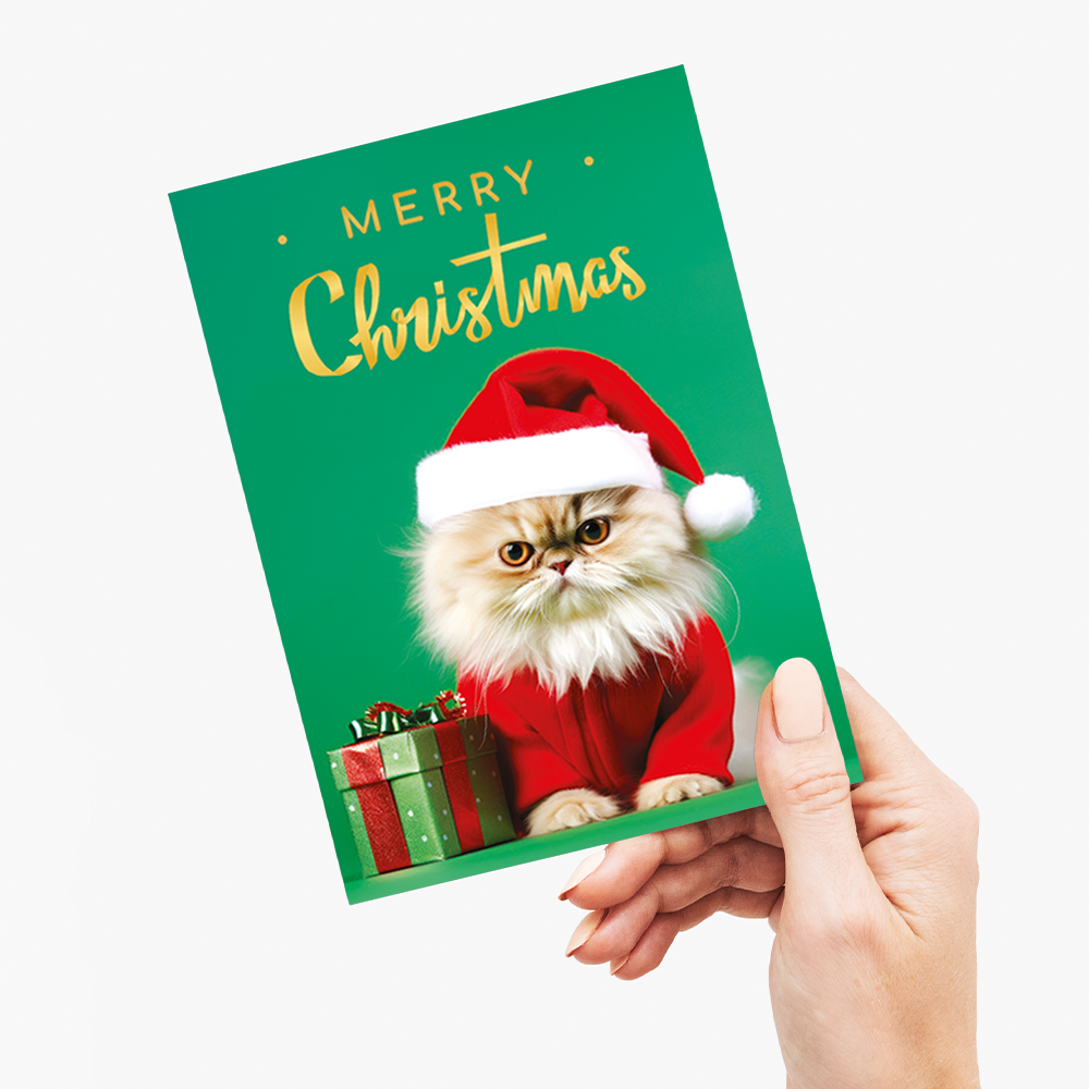 Merry Christmas Little cat with a gift - Greeting Card