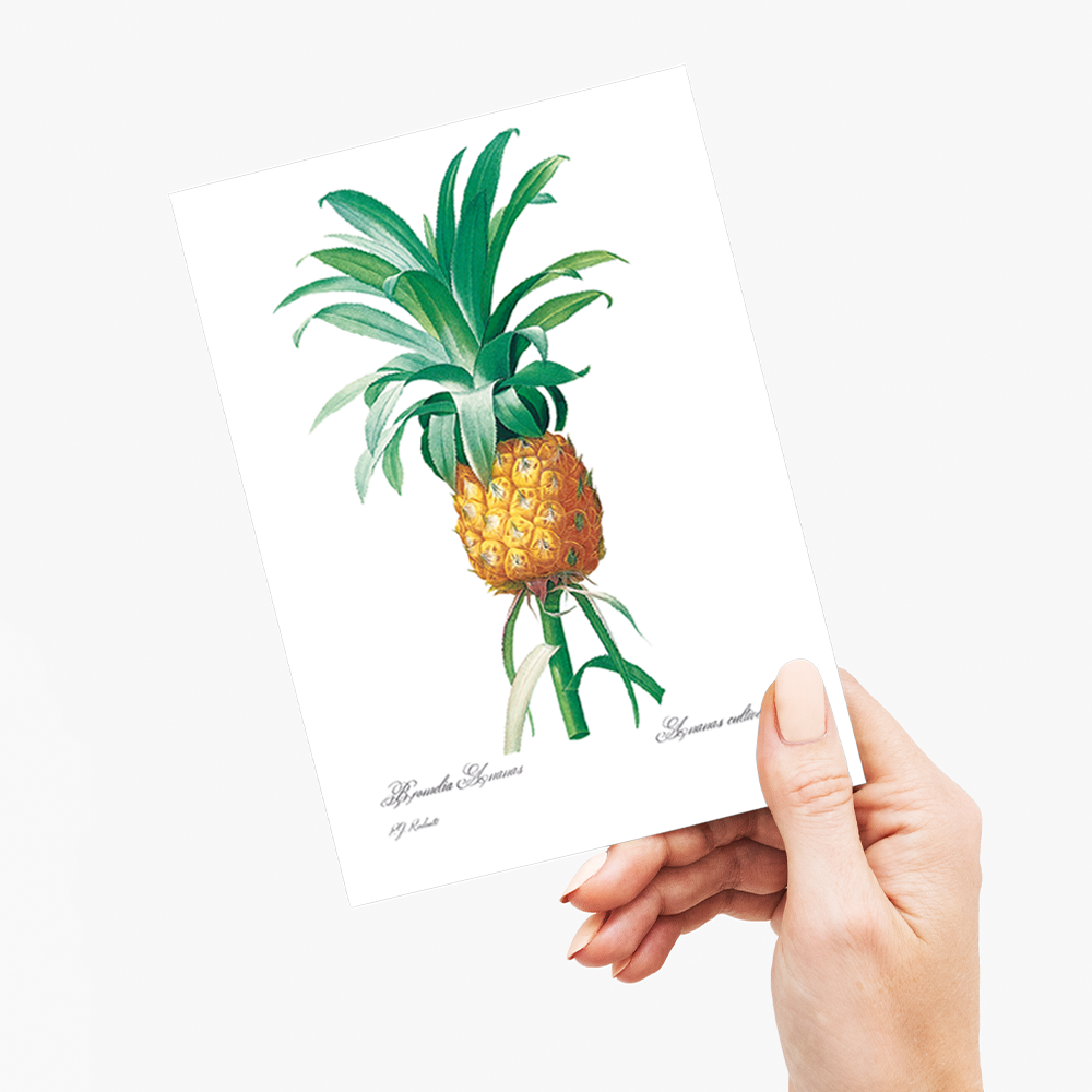 Pineapple By Pierre-Joseph Redouté - Wenskaart