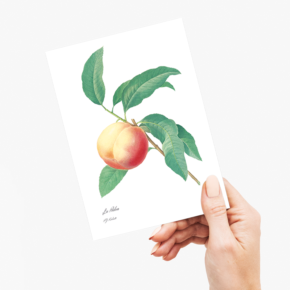 Peach fruit on a branch By Pierre-Joseph Redouté - Wenskaart