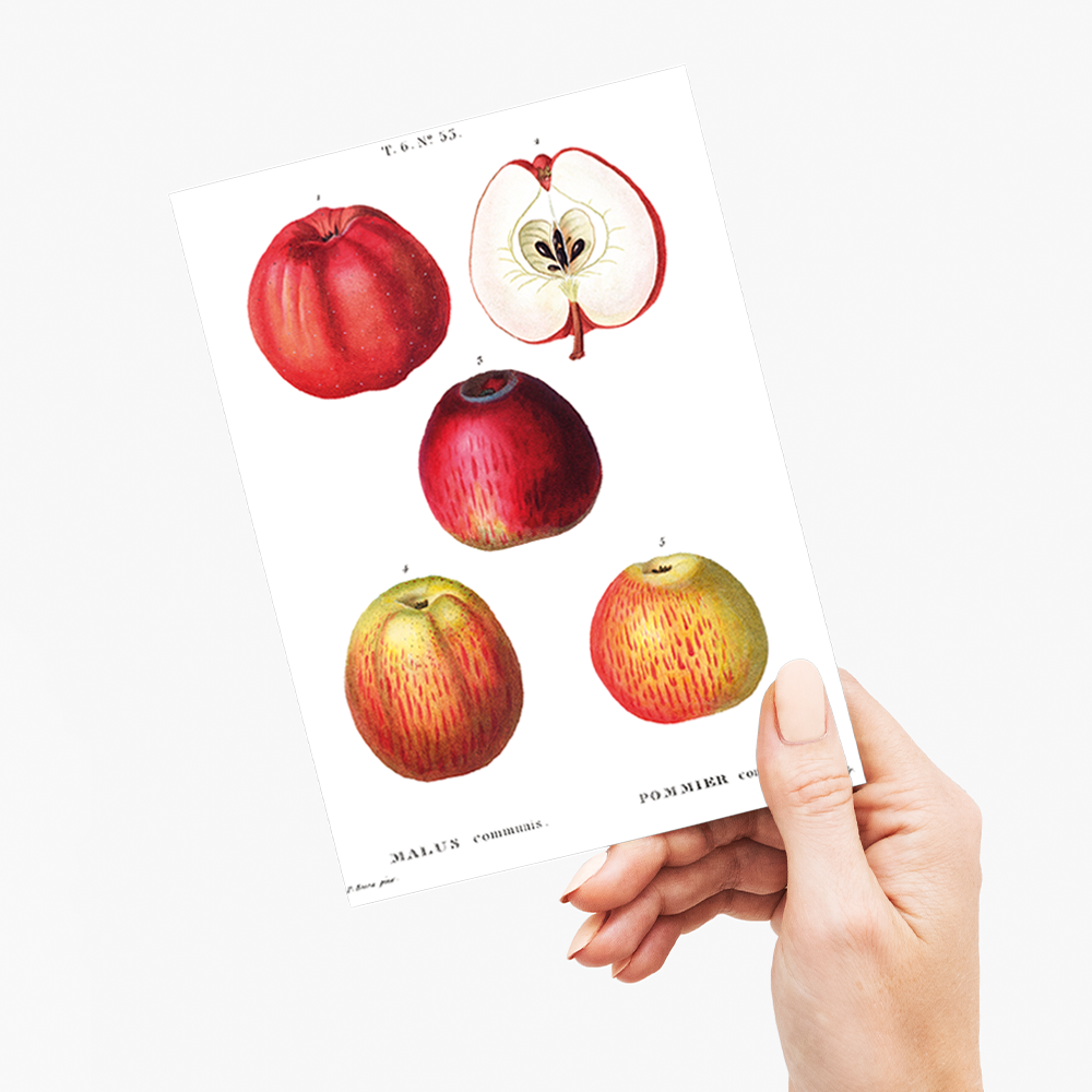 Apples by Pierre-Joseph Redouté - Wenskaart