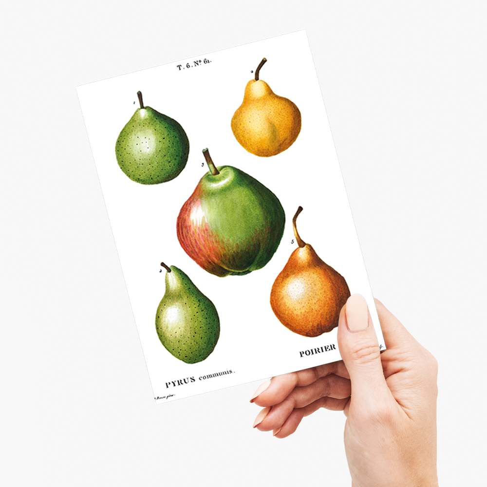 Pears By Pierre-Joseph Redouté - Wenskaart