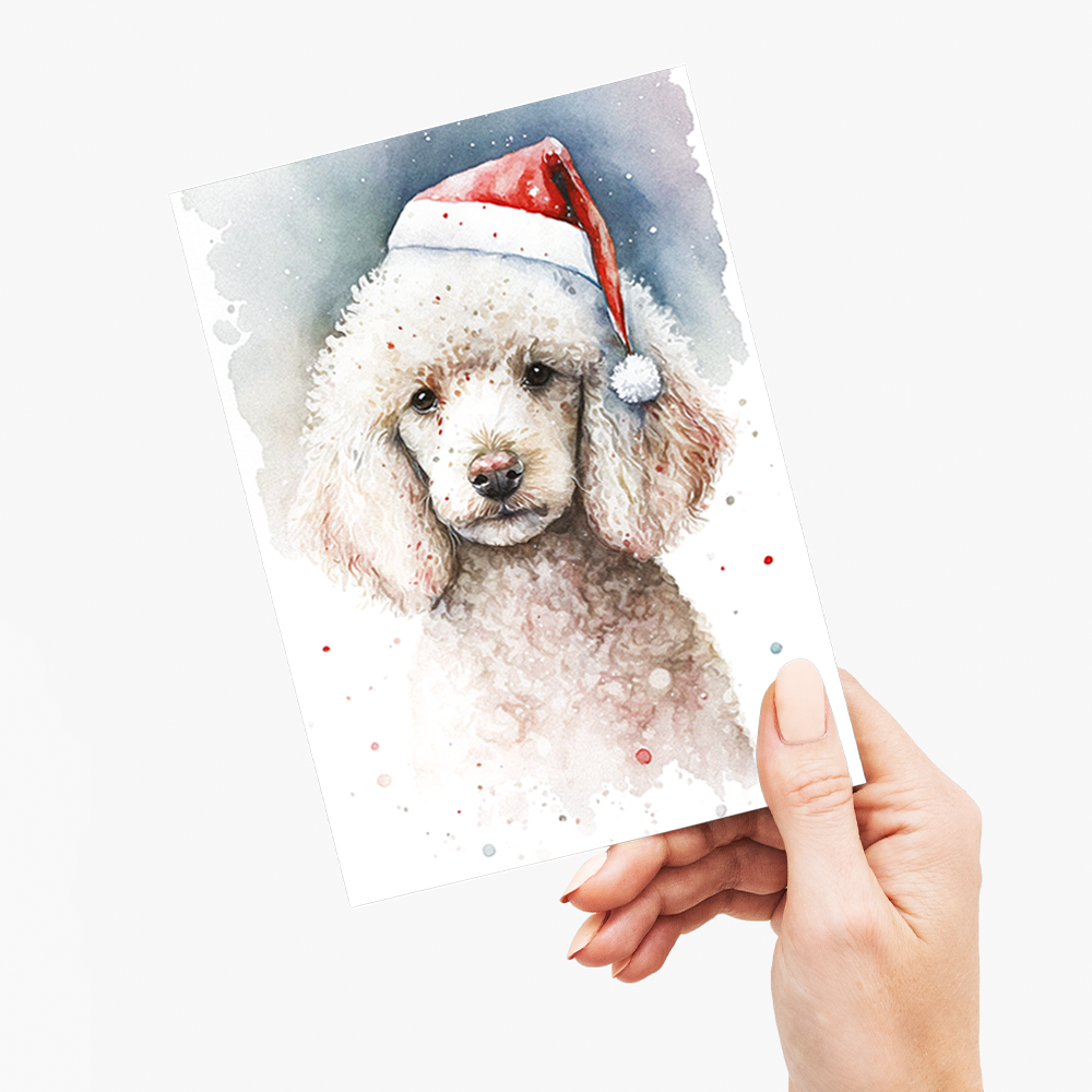 White poodle wearing a christmas hat - Greeting Card