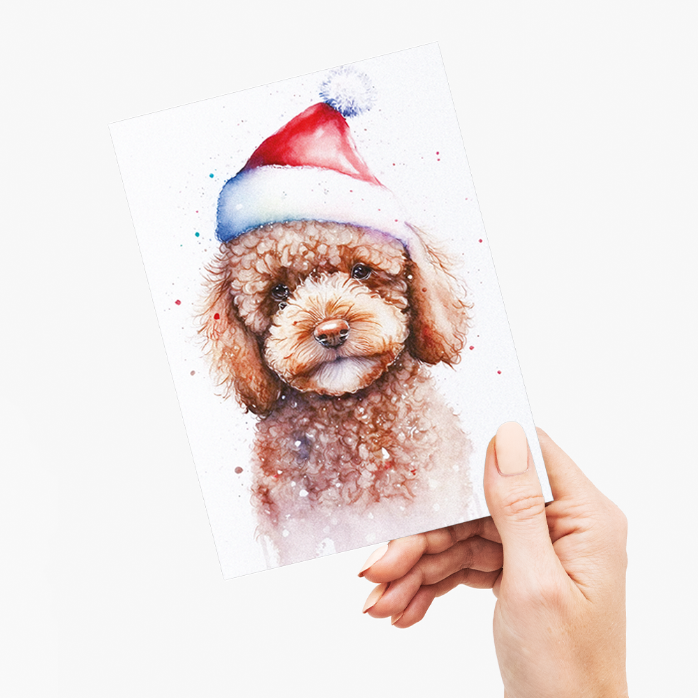 Brown poodle wearing a Christmas hat - Greeting Card